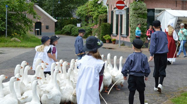 Ganzenmarkt (zondag  3 juli 2016)